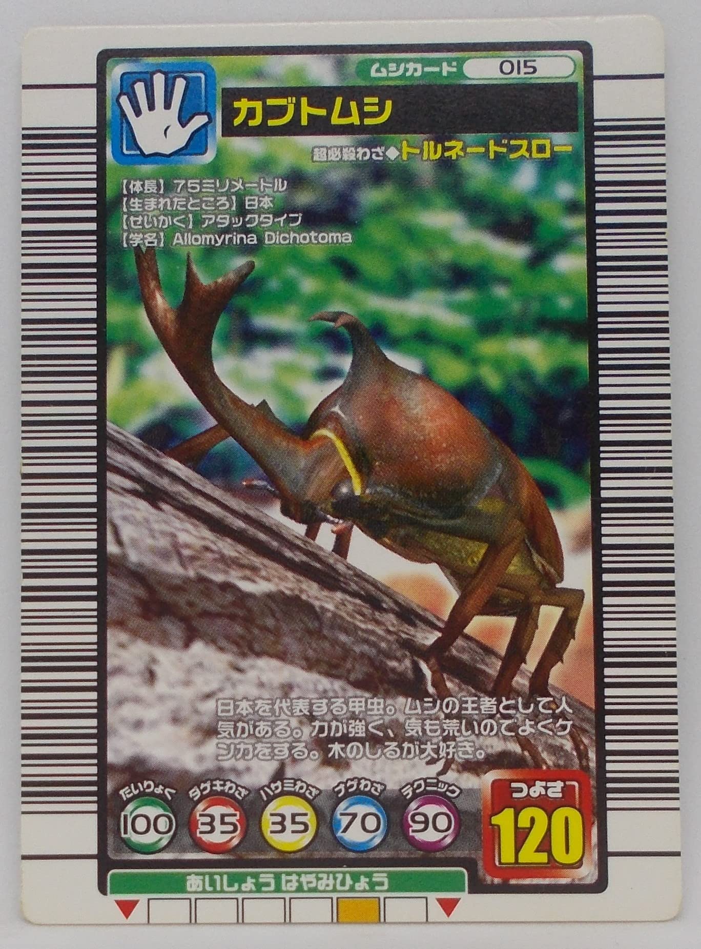 Amazon.co.jp: 【015-2004 セカンド】カブトムシ／甲虫王者 ムシキング